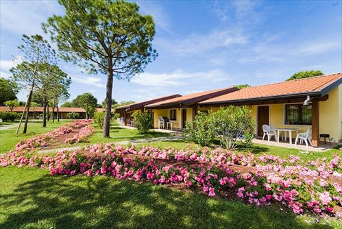 Camping del Garda Camping del Garda