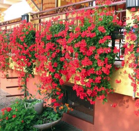 Hotel Residence Villa Beatrice Hotel Residence Villa Beatrice