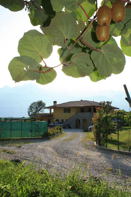 Agriturismo Maso Fontane Agriturismo Maso Fontane