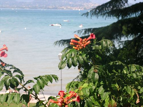 Camping Bella Italia Camping Bella Italia