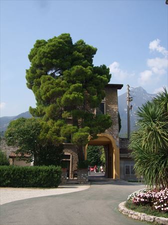 Camping Toscolano Camping Toscolano